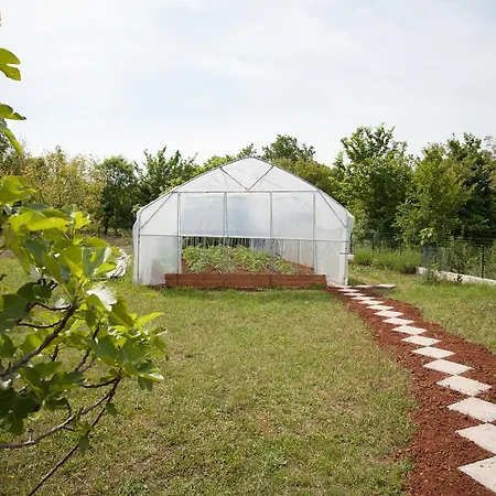 Appartement Gorancica *