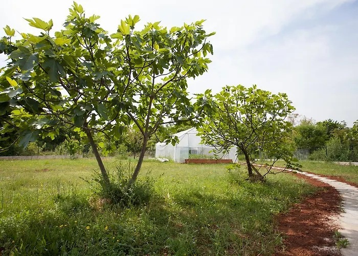 Apartamento Gorancica