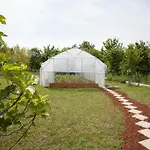 Apartment Gorancica *